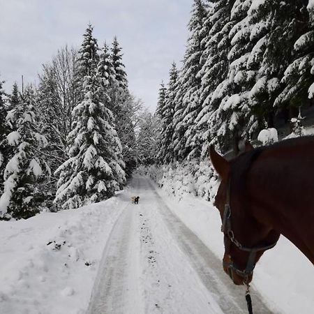 Velké Karlovice Statek U Rajmunda Zemedelska Farma 빌라 외부 사진