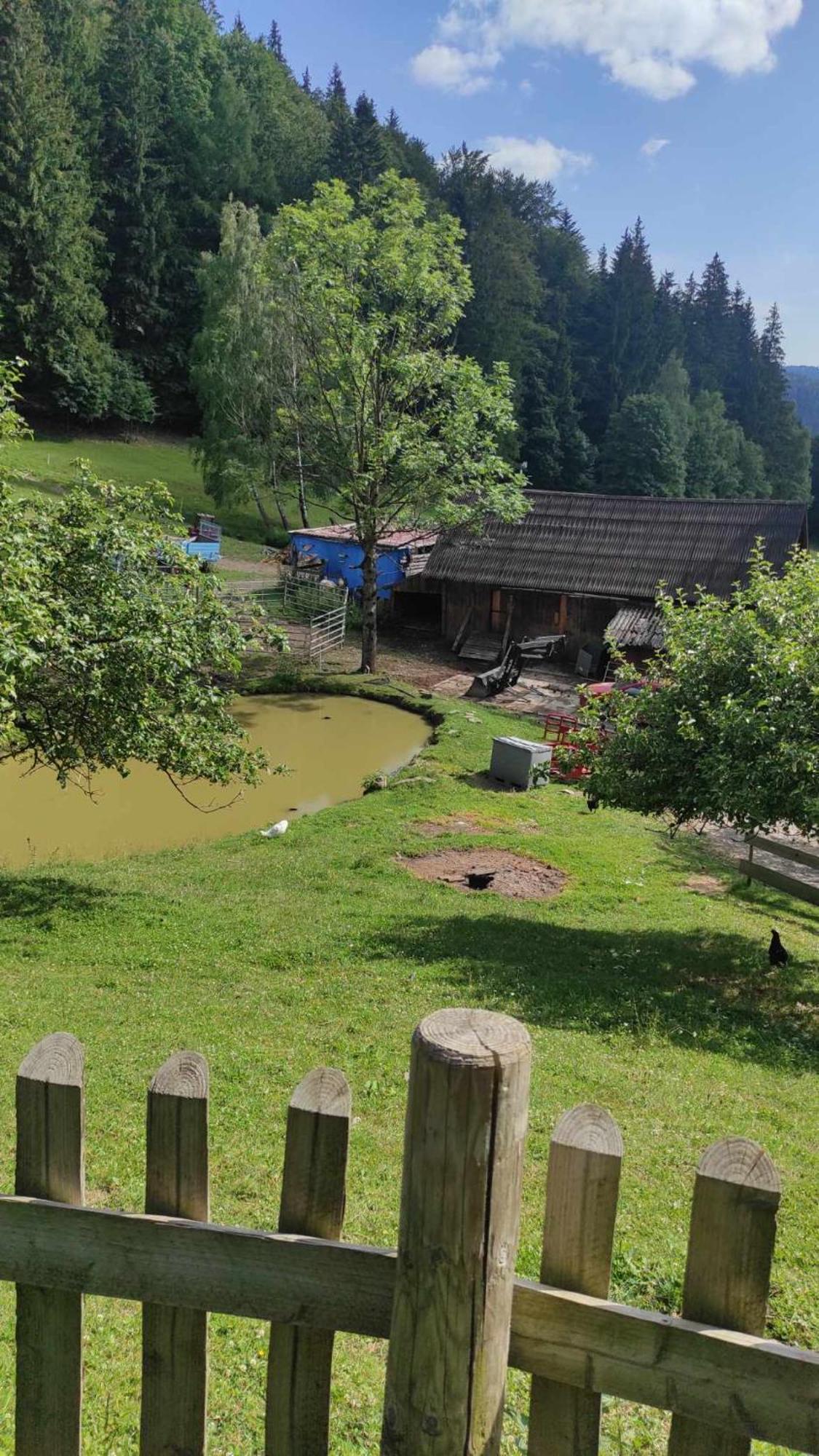 Velké Karlovice Statek U Rajmunda Zemedelska Farma 빌라 외부 사진