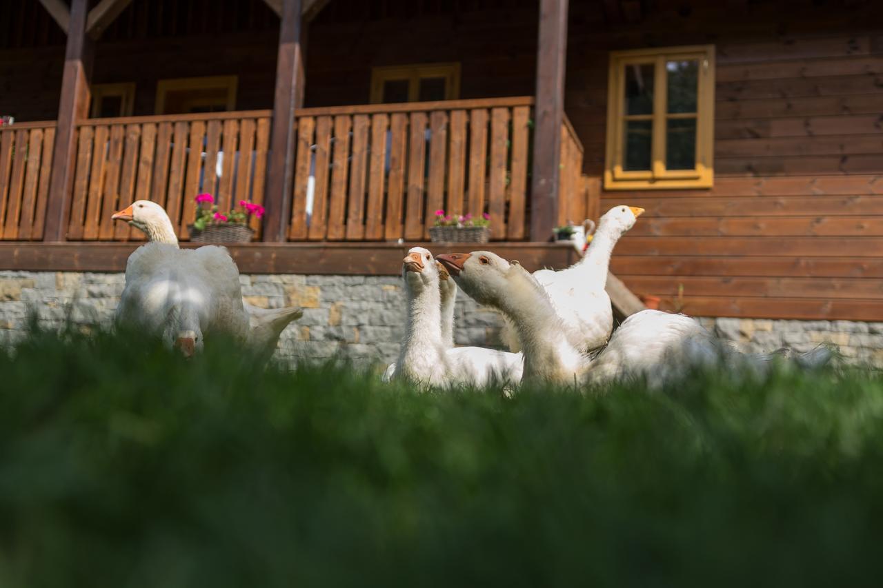 Velké Karlovice Statek U Rajmunda Zemedelska Farma 빌라 외부 사진