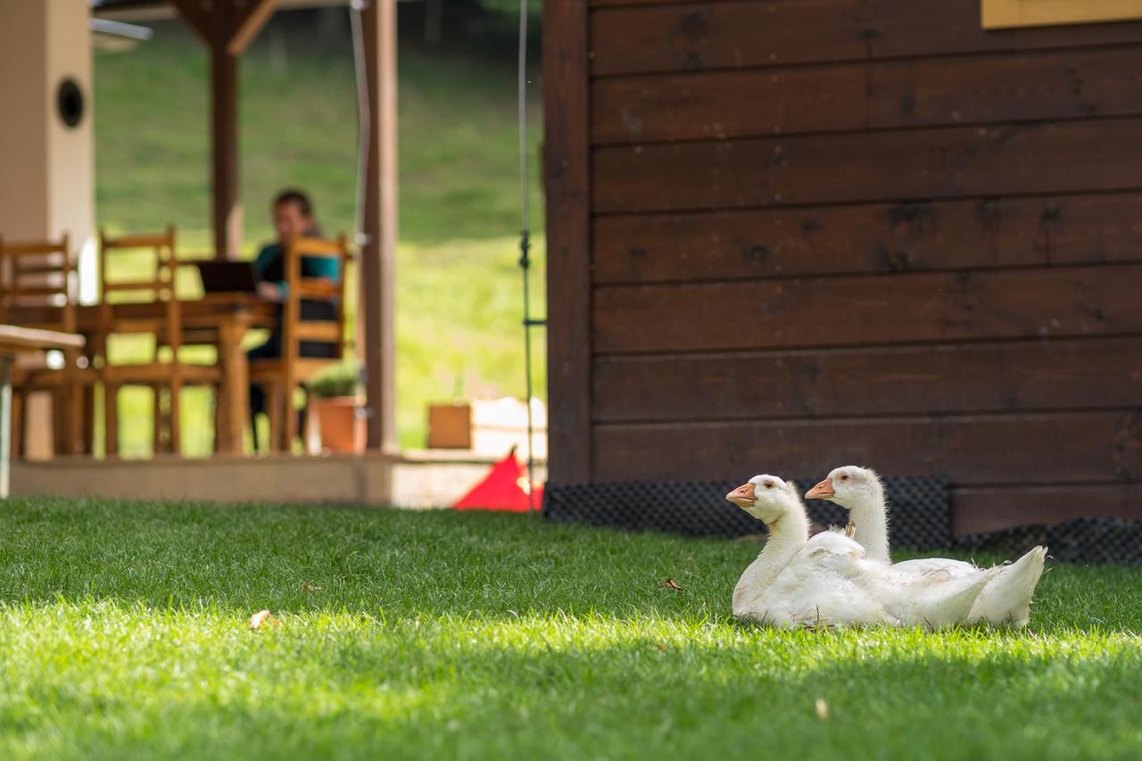 Velké Karlovice Statek U Rajmunda Zemedelska Farma 빌라 외부 사진