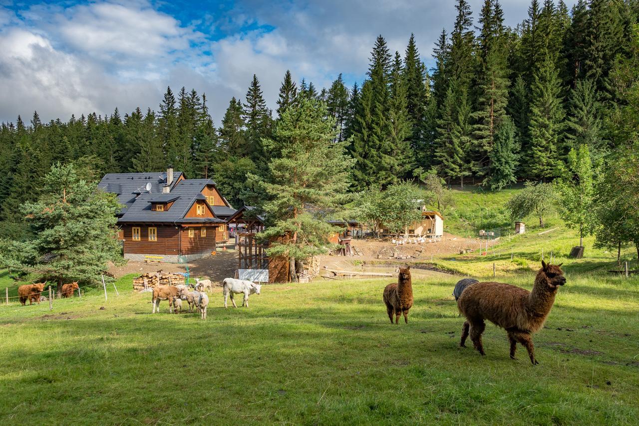 Velké Karlovice Statek U Rajmunda Zemedelska Farma 빌라 외부 사진